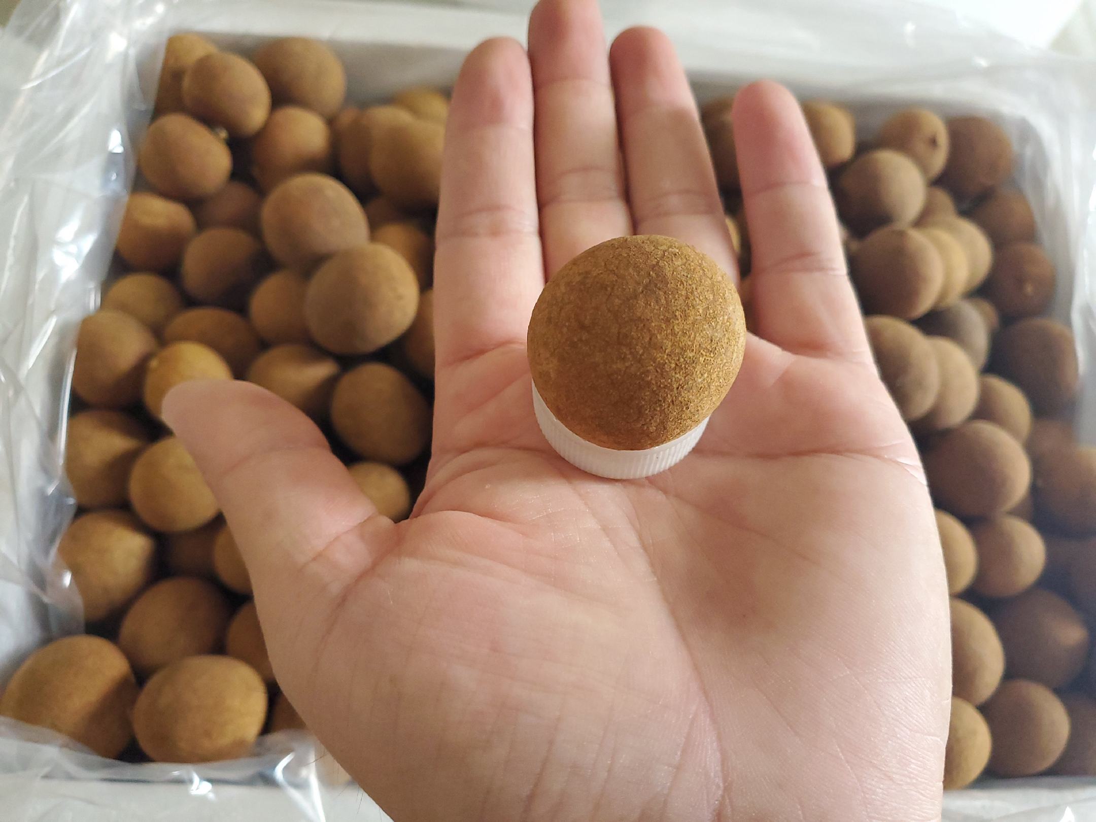 龙眼果盘与传统节日