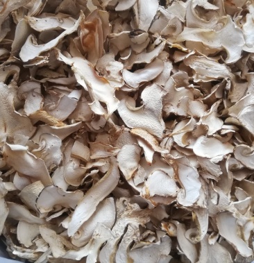 云南野生菌批发精品沙老包老人头菌口感香脆营养美味