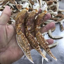 蟹腿…梭子蟹…蟹钳，大脚，…扁蟹脚，酒店，排档，连锁餐饮