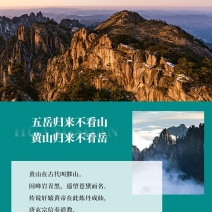黄山500亩田园