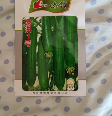 [丝瓜种子批发]绿油1号丝瓜种子价格10.00元/袋 - 一亩田