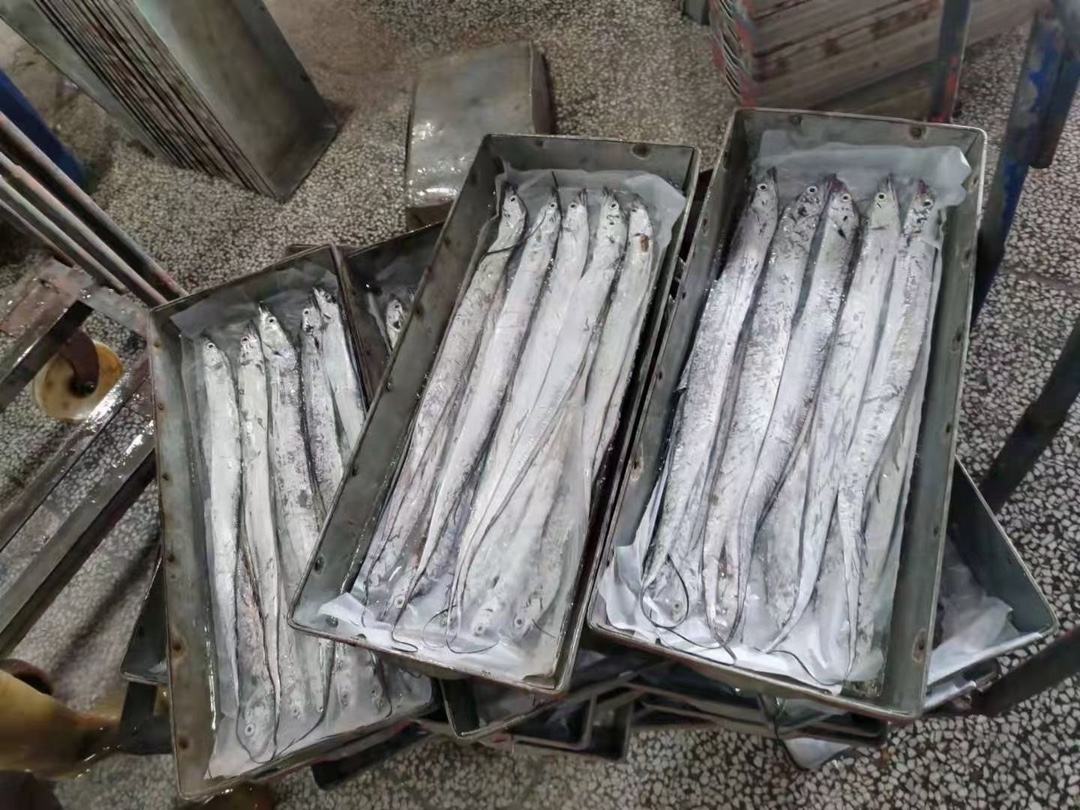 展示远海梭子蟹在冷藏环境中有序摆放 远海梭子蟹整齐摆放在冷藏箱中