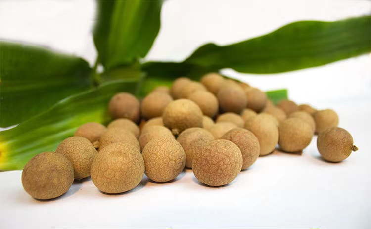 桂圆水与健康生活