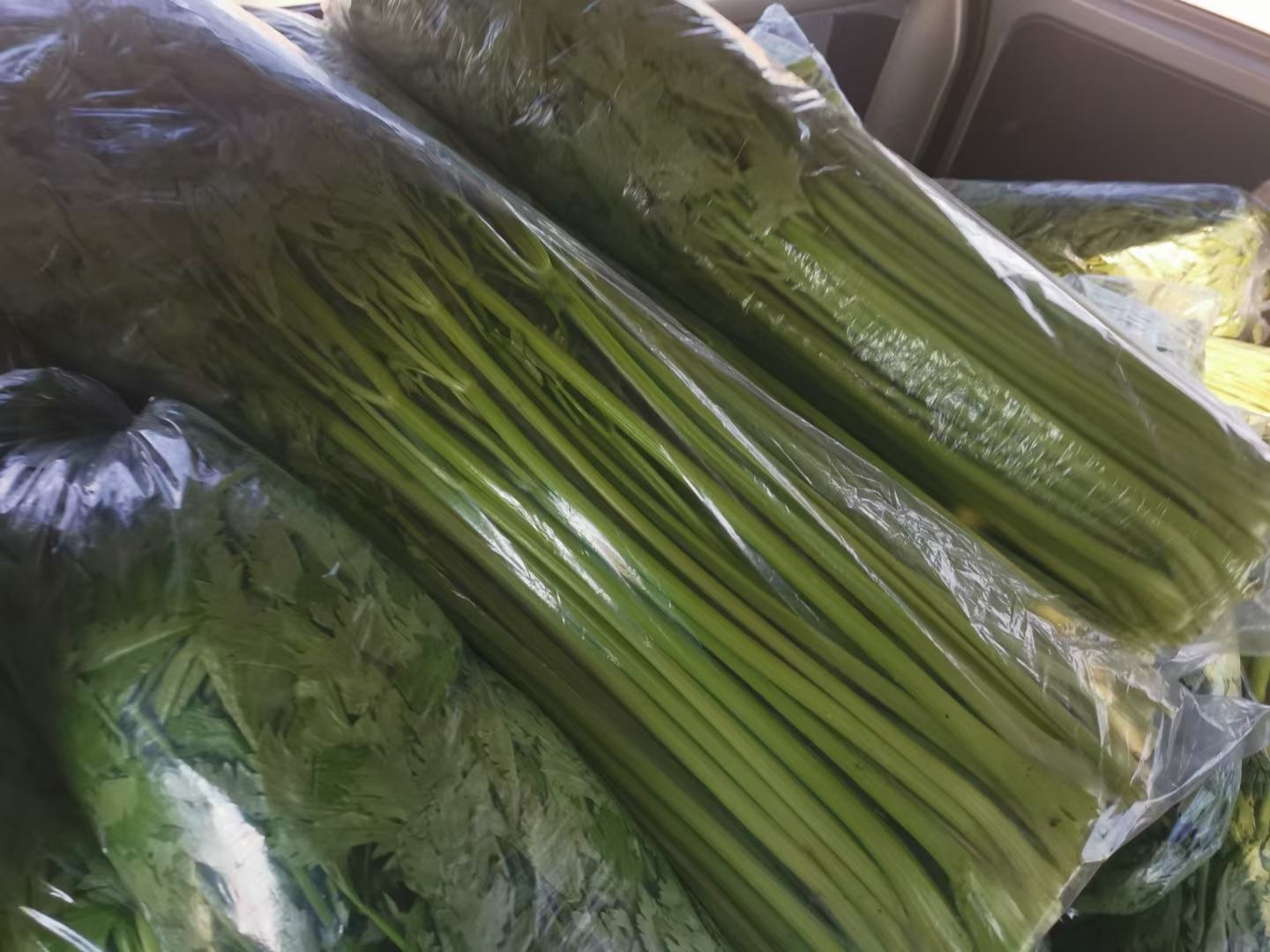 市场销售的栽培芹菜