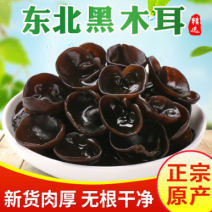 新货东北黑木耳干货椴木碗耳批发