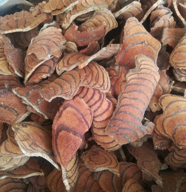 野生鸡血藤老藤中药材草药鸡血藤干品500g克泡茶泡水