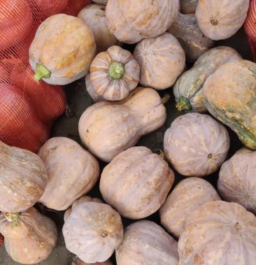 金香南瓜有一斤到三斤的口感好软糯香甜适合各类做法
