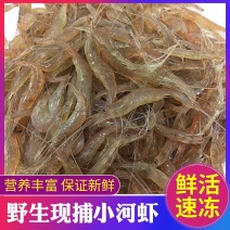 【当日捕捞】淡水小河虾冷冻活体新鲜青虾湖虾水产急冻小草虾