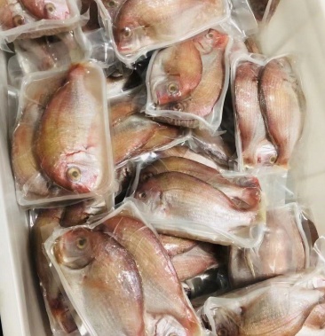 [贻贝批发]北海红腊鱼价格330.00元/件 - 一亩田