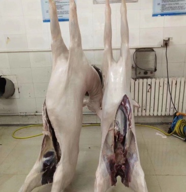 吉林省梅花鹿白条鹿肉每天屠宰带检疫证明