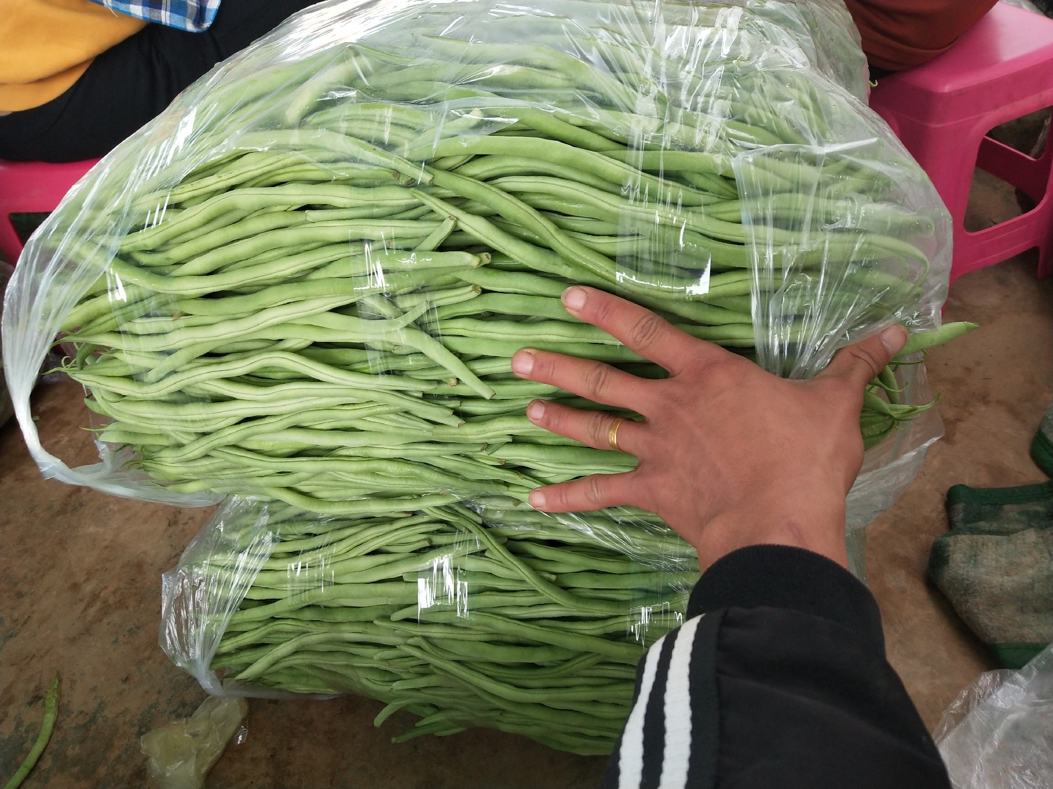 高清特写:左侧为未炒熟的鲜绿色脆硬四季豆(含生涩感),右侧为充分加热后的深绿色软韧四季豆(无纤维拉丝,用筷子轻压即断,表面有均匀油润光泽;背景为食品级探针温度计显示中心温度96.5℃ 四季豆彻底加热前后对比图
