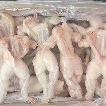 牛蛙，，开背巴沙鱼，眉公月，鮰鱼，酱料一体出