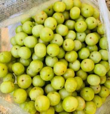 油甘果大甘果牛甘果酸水果