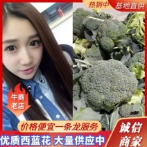 湖北万亩西兰花绿花菜花供应批发商+社区团购+工厂货