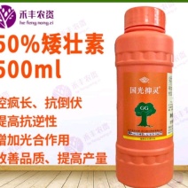 国光抑灵矮壮素果树蔬菜小麦玉米花生大豆控旺控制疯长增产增