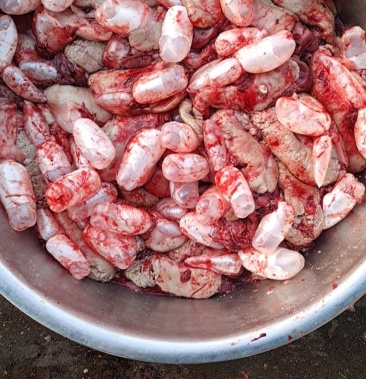 [鱼籽批发]鲤鱼籽鱼籽价格30.00元/斤 - 一亩田