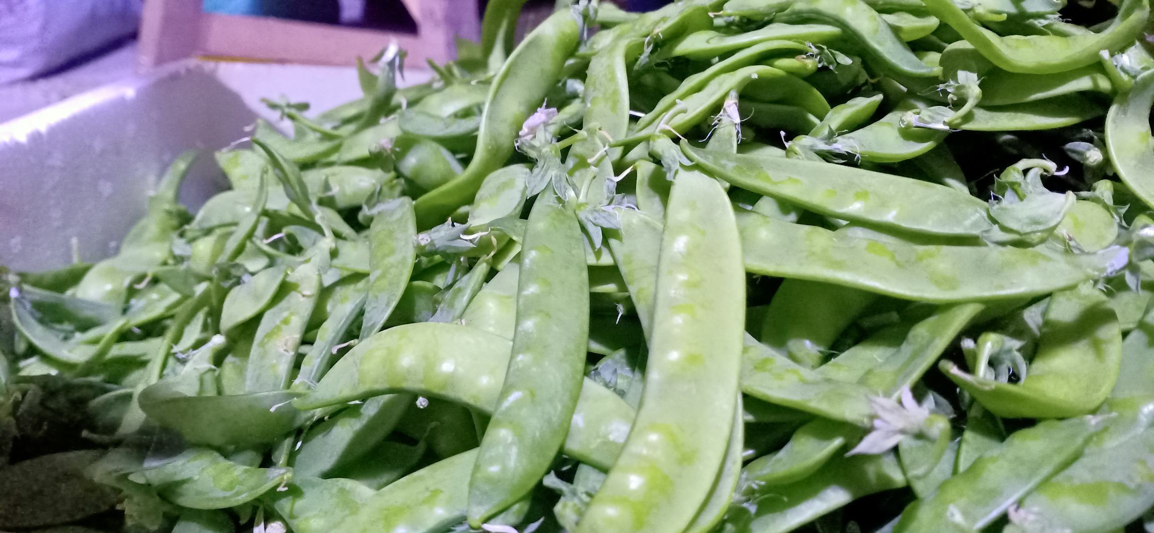 荷兰豆焯水定色,颜色鲜亮 荷兰豆焯水定色