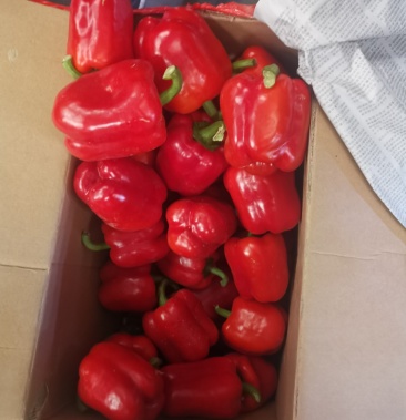 红彩椒10公斤一件产地直销