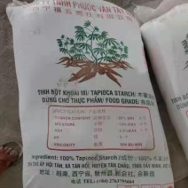 河口现货