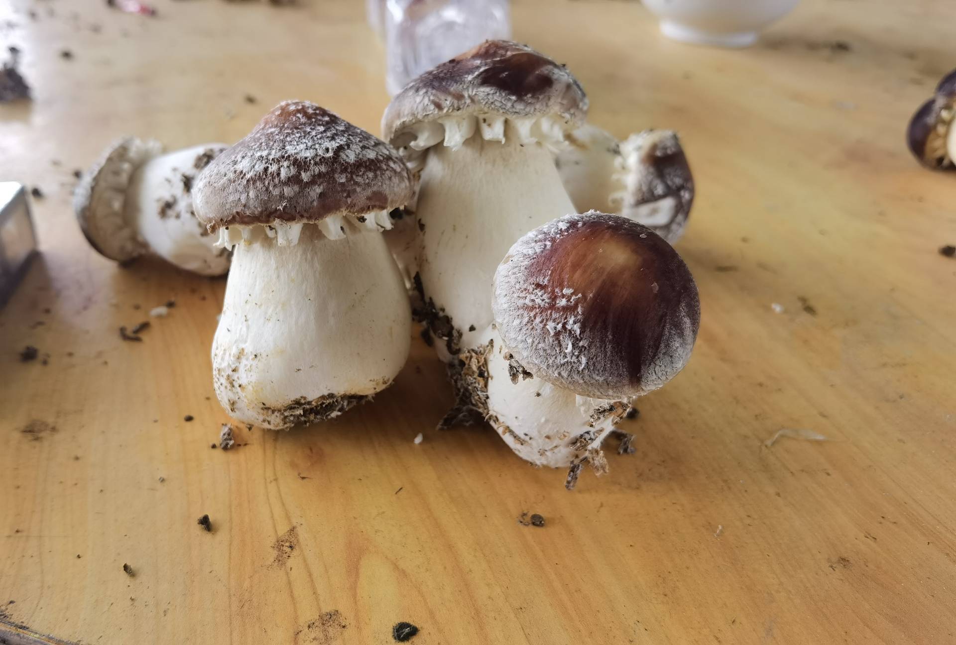姬松茸与番茄搭配的食材摆盘图