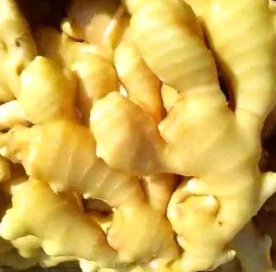 黄金是不是老虎姜特写