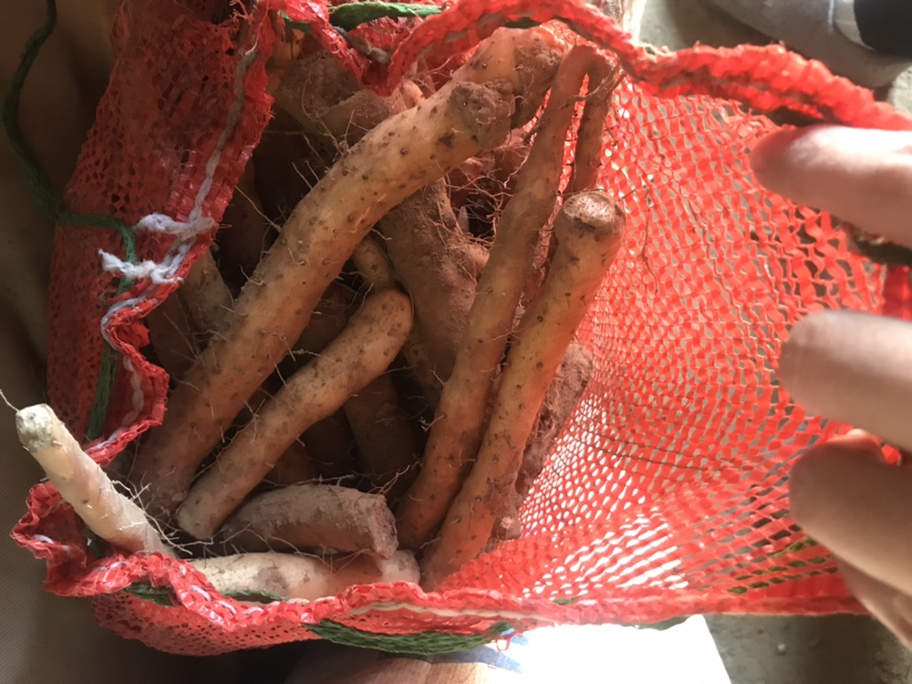 特写镜头:一只白色瓷碗盛满淡黄色澄清汤液,汤中清晰可见乳白色的山药薄片、一小块深褐色陈皮和十余粒鲜红枸杞,热气袅袅上升,背景虚化,突出食物本身的质感与色泽 山药陈皮枸杞成品汤品特写