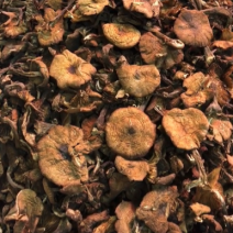 吉林烘干榛蘑新货，颜色好，整齐没有碎的，20斤一箱