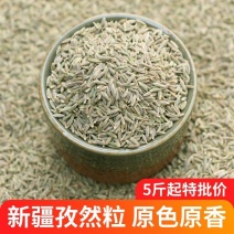 新疆本地人售卖吐鲁番孜然