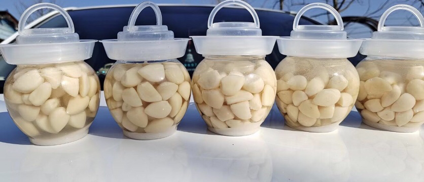场景图:标准家用玻璃密封罐腌制蒜米,展示液面高度(没过蒜瓣2cm)、蒜瓣排列状态(无重叠)、环境为阴凉橱柜内,体现避光静置条件 玻璃密封罐腌制过程实拍:透明罐内清晰可见分层摆放的蒜瓣,金黄色香料液完全浸没蒜粒,液面平静无气泡,罐身标注"Day3-冷藏前"