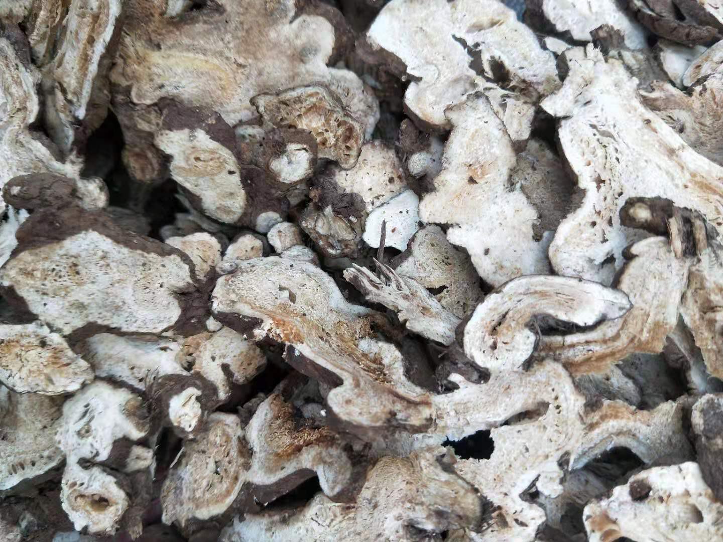 展示白术片的实物图片,包括其切片形态和颜色特征 白术片实物图