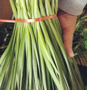 [韭菜批发]云南韭菜价格1.70元/斤 - 一亩田