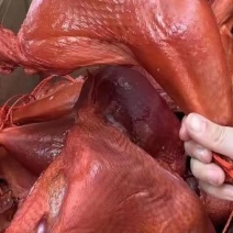 麻辣火鸡腿鸭边腿价格美丽一手货源江湖地摊展会