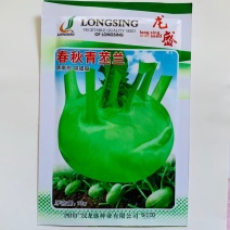 龙盛春秋青苤兰种子球茎甘蓝春秋两季种植青苤蓝种子