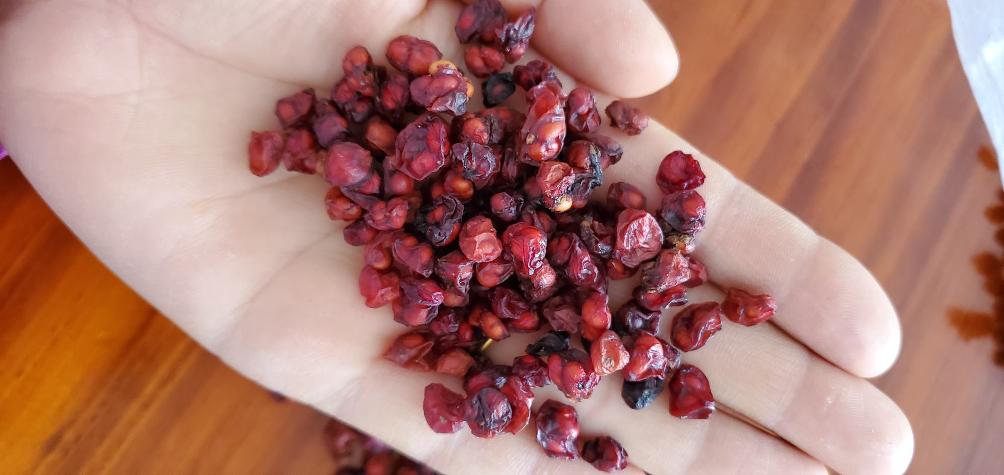 北五味子药材干果图