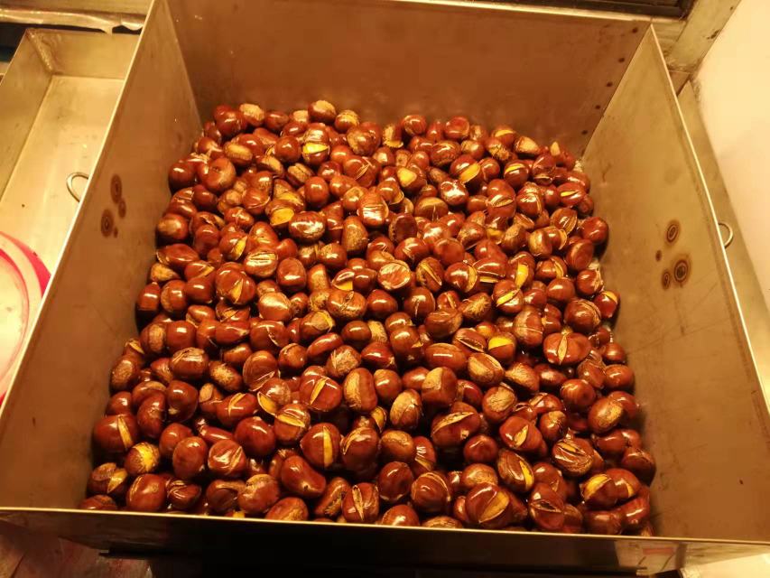 油栗饼成型与烘烤过程