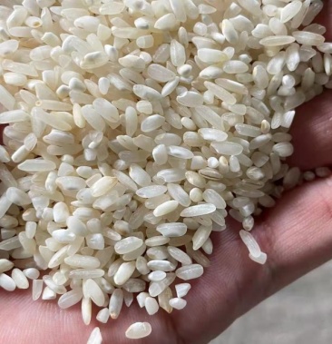 贵朝米陈米!专业做粉出粉率很高.现货100吨,长期现货.
