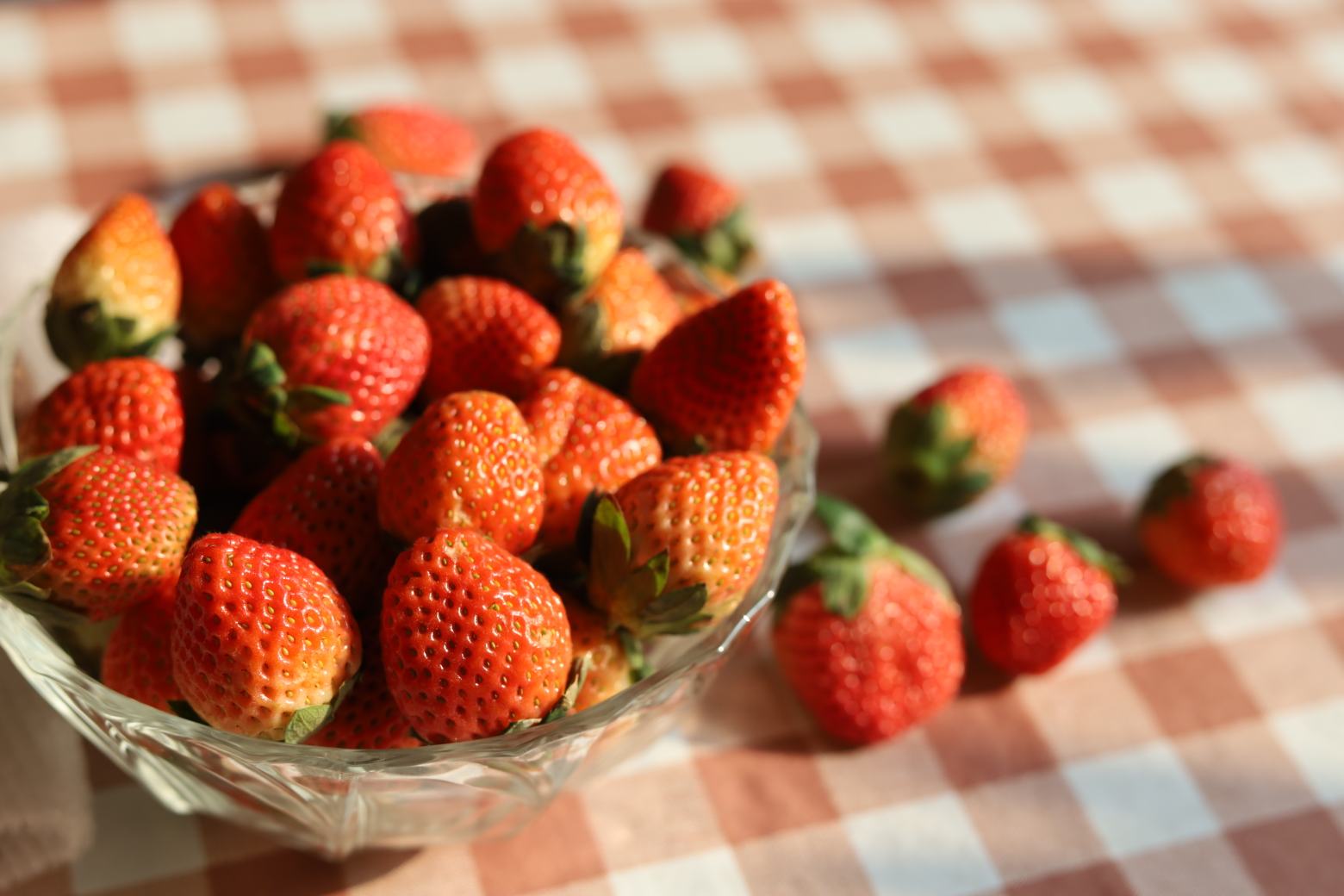 红颜草莓家庭享用场景