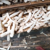 竹荪球头茬竹荪10～15福建古田特产精装货