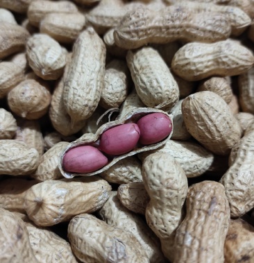 扶余四粒红熟花生果炒货熟四粒红花生果