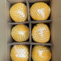 椰子一件代发量大从优