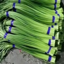 蒜薹