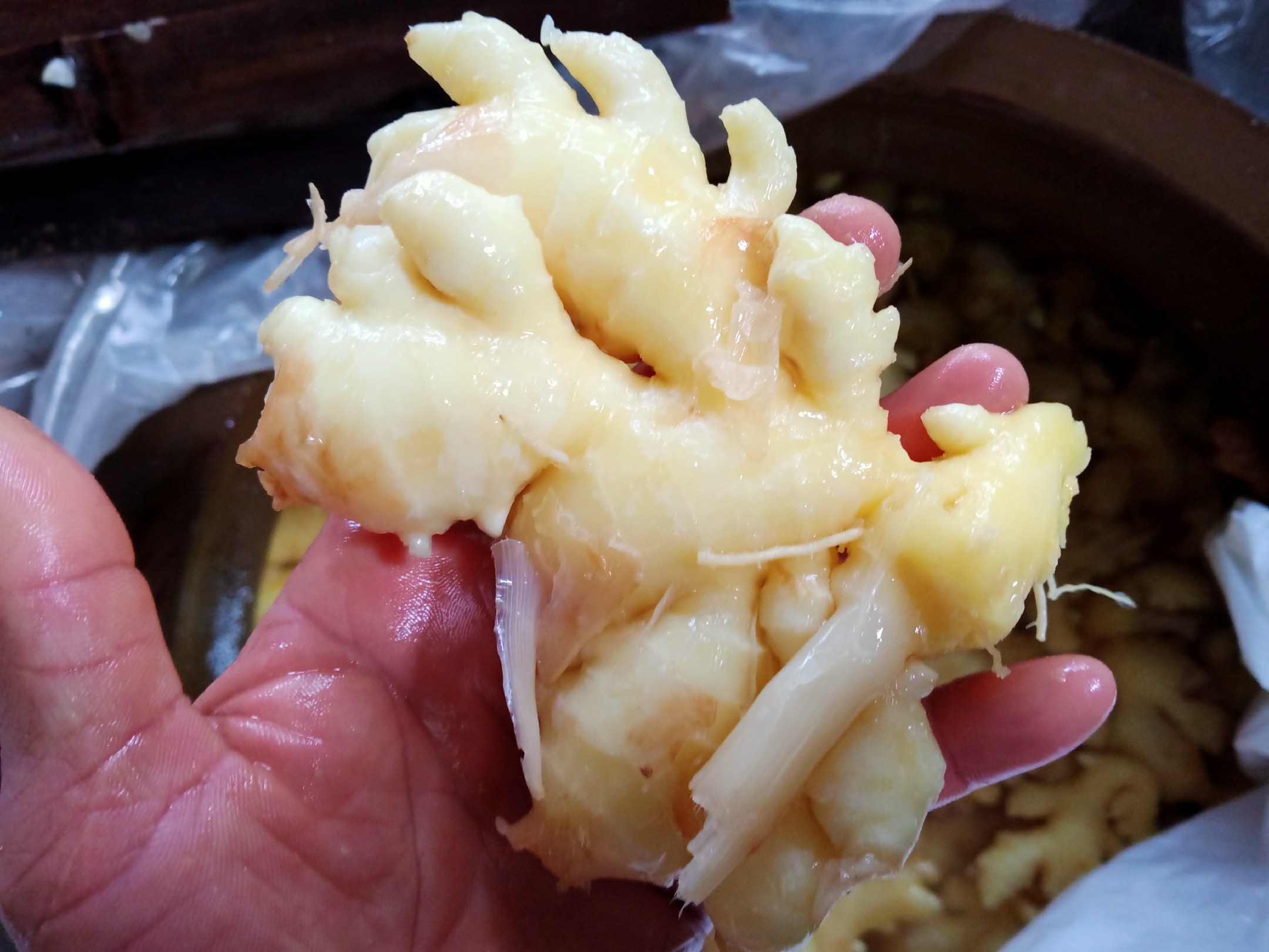 醋泡生姜成品图,展示浸泡在玻璃瓶中的生姜片与醋液融合状态 醋泡生姜成品图