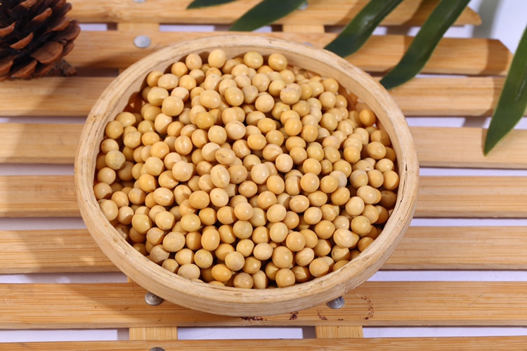 一位35-50岁亚裔女性在家中厨房台面打开一瓶大豆提取物胶囊,旁边摆放一杯豆浆和新鲜黄豆,阳光透过窗户洒入,营造健康生活氛围,体现自然、营养、科学的生活方式 女性日常服用大豆提取物补充剂场景