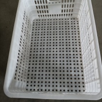 香蕉筐，瓜苗筐，水果筐