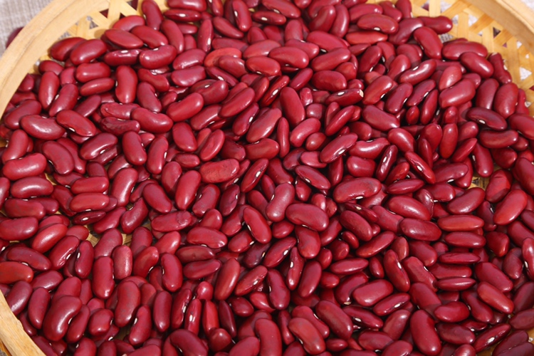 打浆过程中的红枣豆浆