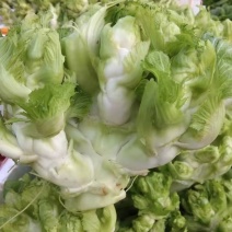 精品基地儿菜