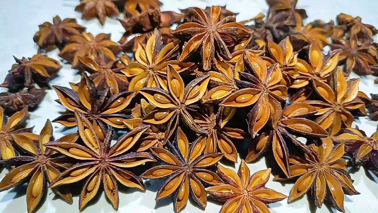一张俯拍照片,展示八角与其他常见香料的对比,包括桂皮、花椒、小茴香、丁香等,八角位于中心,呈深褐色星形,其余香料环绕分布,背景为浅色麻布纹理 八角与其他香料对比图