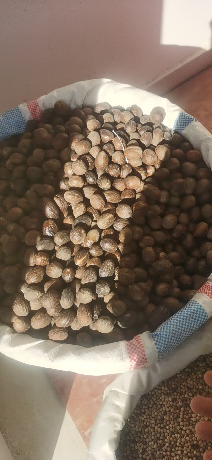 [川芎批发]圆香果/圆壳颜色好无杂质,精品特级货价格16.