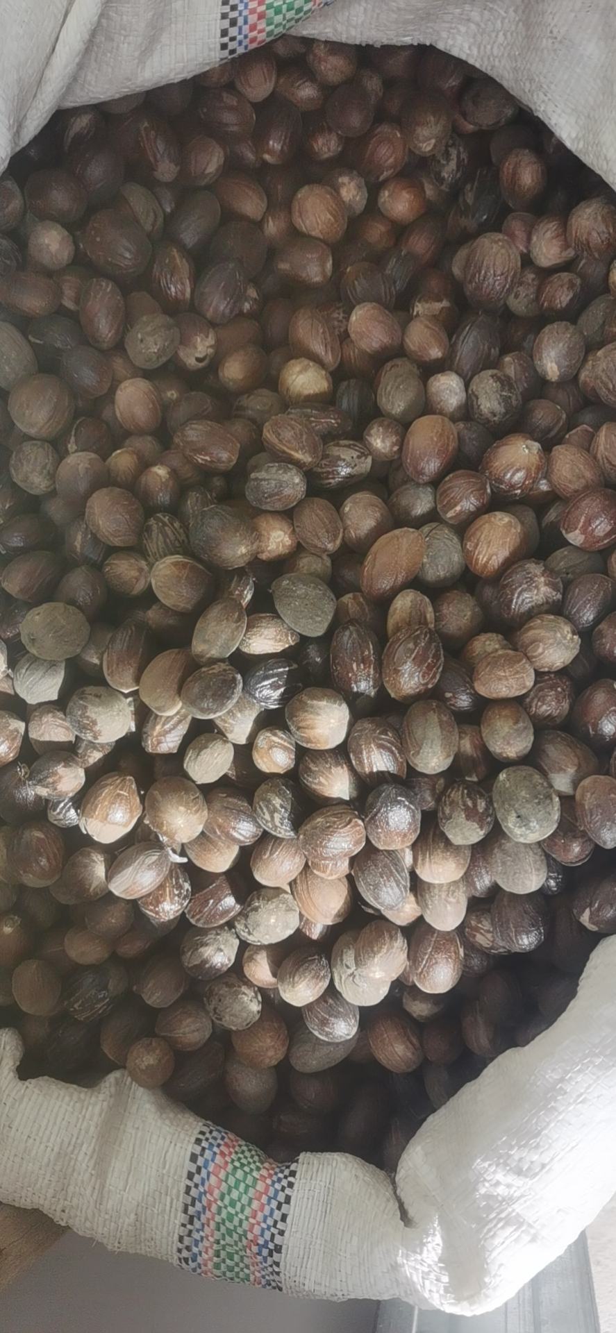 [川芎批发]圆香果/圆壳颜色好无杂质,精品特级货价格16.