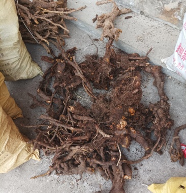 00元/斤 - 一亩田